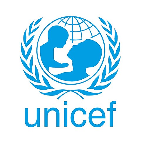 Fondo de las Naciones Unidas para la Infancia (UNICEF)
