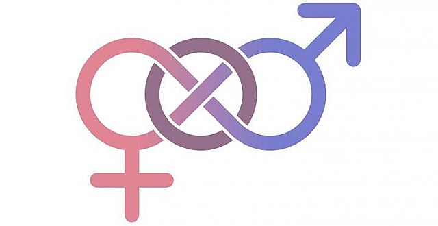 Entidad de las Naciones Unidas para la Igualdad de Género y el Empoderamiento de las Mujeres (ONU Mujeres)