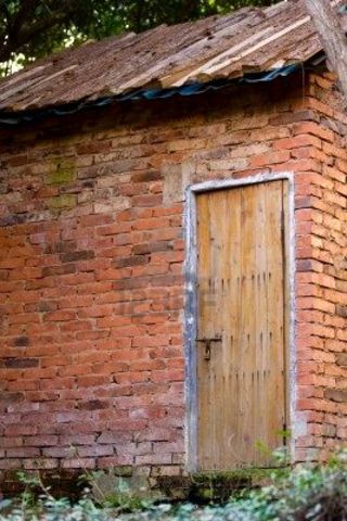 3 little wolves build brick house