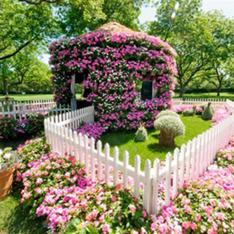 wolves build house of flowers