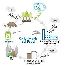 Revisión ISO 14004:2011