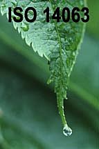 Revisión ISO 14063:2010