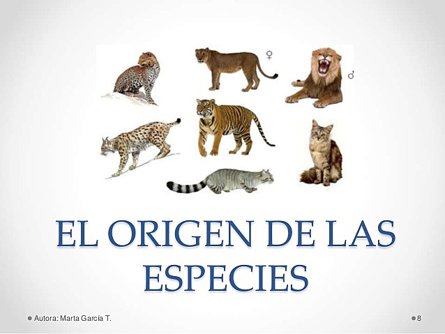 Carl van Linnaeus y Charles Darwin.