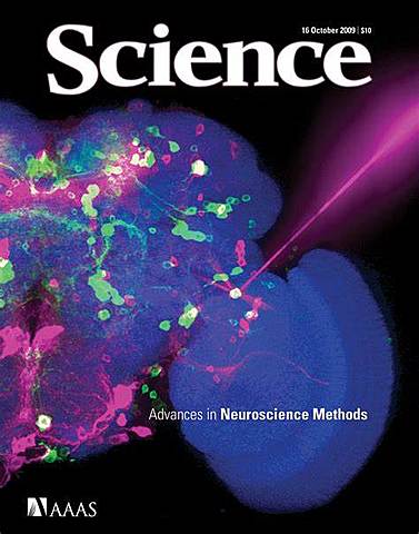 Publicación del borrador de la secuencia del Genoma Humano.