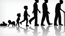 Timeline: La meva vida