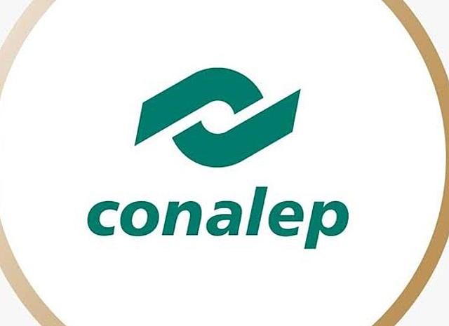 Educación preescolar, CONALEP y UPN