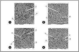 Adopting the use of Fingerprints