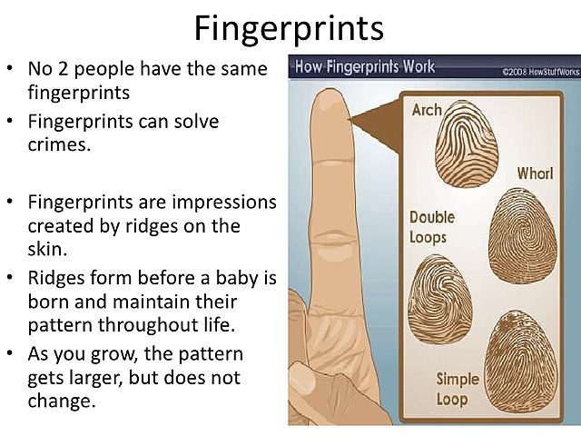 U.S. Courts accepting fingerprints as identification