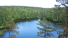 Timeline: el perro se callo :)