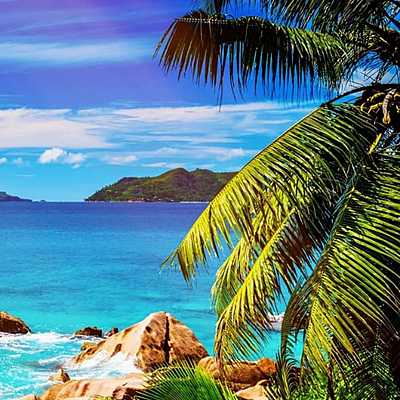 Timeline: tecnologia