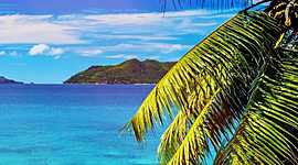 Timeline: tecnologia