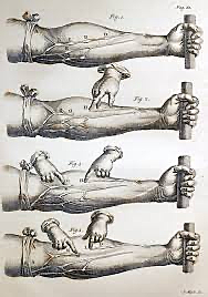 La circulación de la sangre