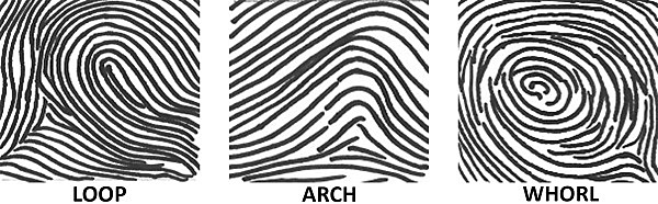 Fingerprints First Used to Identify Someone