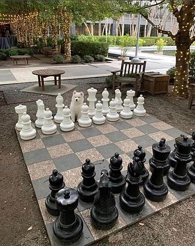 Cuando iba a actividades