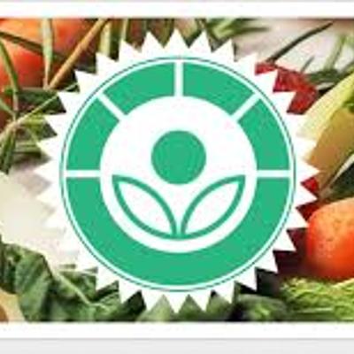 Timeline: Irradiación Historia