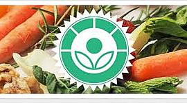 Timeline: Irradiación Historia