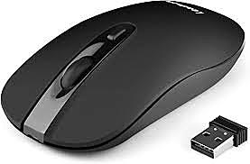 Douglas Engelbart and Rene Sommer invent the mouse