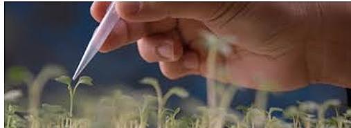 Apoyo a nuevos estudios,  inculcación religiosa en escuelas privadas.