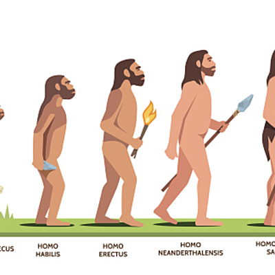 Timeline: la evolución del hombre