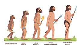 Timeline: la evolución del hombre