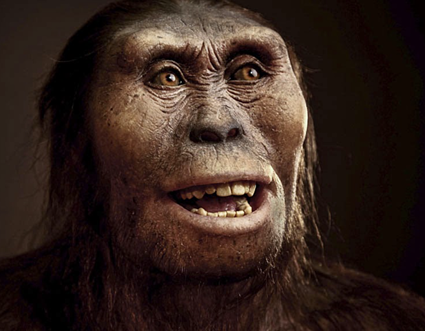 Australopitecus