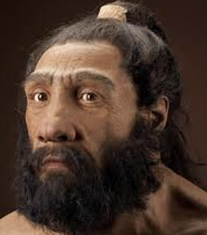 Homo neanthertal