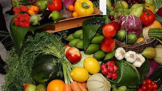 Comienza la producción intensiva de hortalizas extratempranas