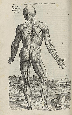 Publicación de “Sobre la estructura del cuerpo humano” de Andrés Vesalio