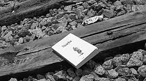 LITERATURA ESPAÑOLA DE LA POSGUERRA