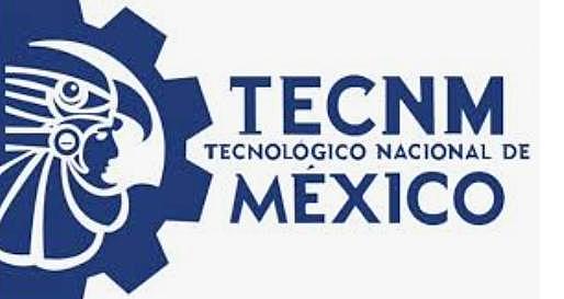 Tecnológico Nacional De México
