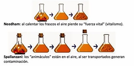 Debate: La generacion espontanea