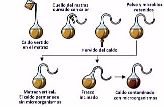 Debate: La generación espontanea. Louis Pasteur.