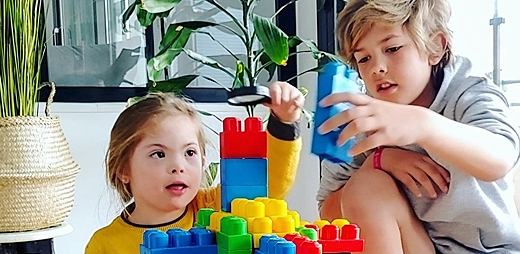 LA ASOCIACIÓN AMERICANA sobre RETRASO MENTAL (AAMR)