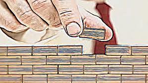 Plan de estudios de 1975 reestructurado