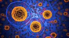 Timeline: Historia De Las Células