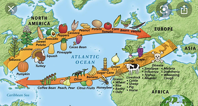 Columbian exchange