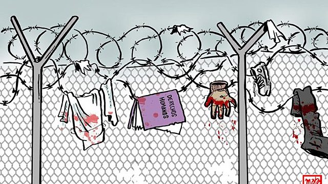 Causas de las migraciones