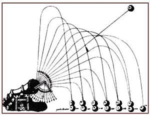 Conclusión de Francisco de Marchia.