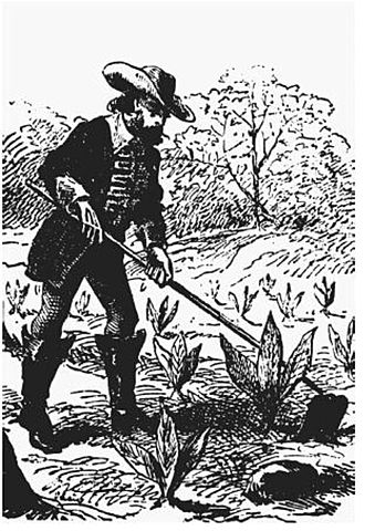 Tobacco introduced to the Virginia Colony by John Rolfe