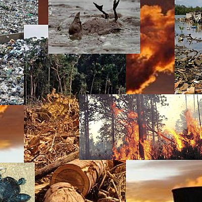 Timeline: Degradación del Ambiente