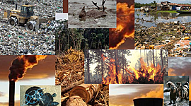 Timeline: Degradación del Ambiente