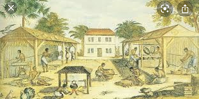 Tobacco introduced to Virginia Colony by John Rolfe