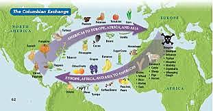 Columbian Exchange Begins