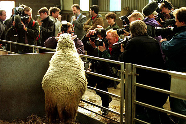 Clonación de la oveja Dolly