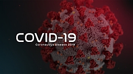 Timeline: Quarantine 2020