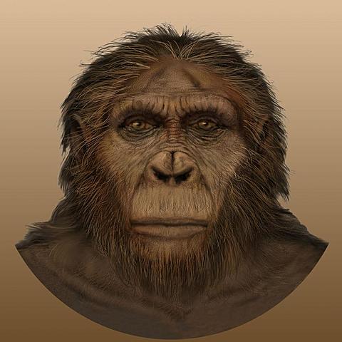 Paranthropus aethiopicus