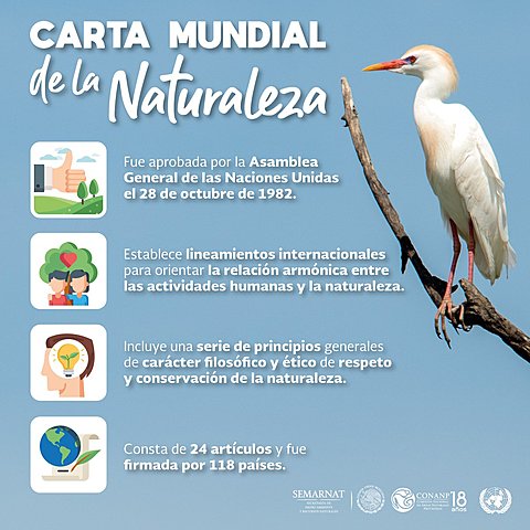 Carta Mundial de la ONU para la Naturaleza.