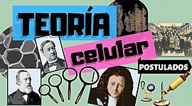 Timeline: Teoria Celular
