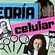 Teoria celular