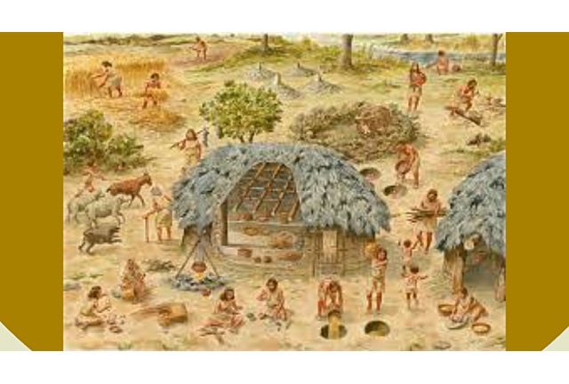 Rotación de cultivos.